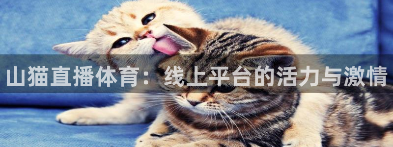 nba飞速直播nba：山猫直播体育：线上平台的活力与激情