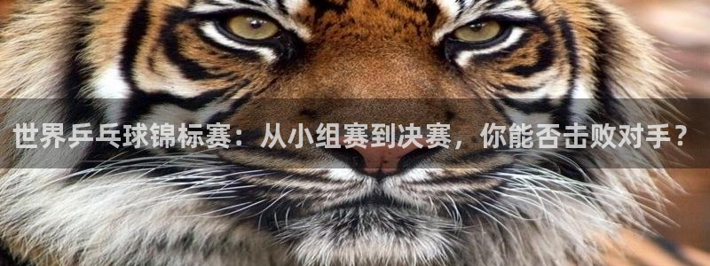 nba飞速体育：世界乒乓球锦标赛：从小组赛到决赛，你能否击败对手？
