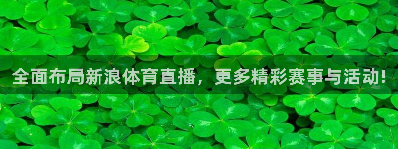 飞速极速体育直播：全面布局新浪体育直播，更多精彩赛事与活动!